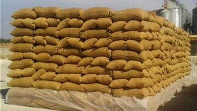 توريد 65 ألف طن قمح بالغربية