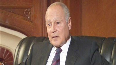 أبو الغيط يناقش مع وفد إفريقي دعم الاستقرار والتنمية في 