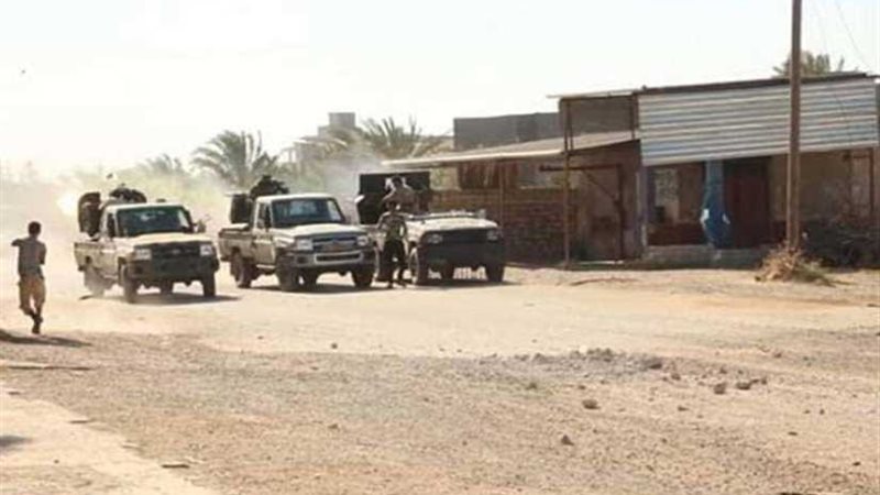 بالفيديو والصور..