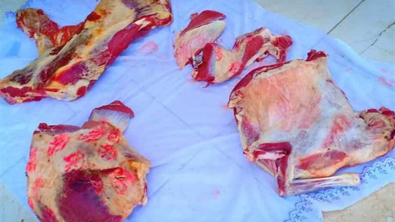 ضبط 735 قضية تموينية