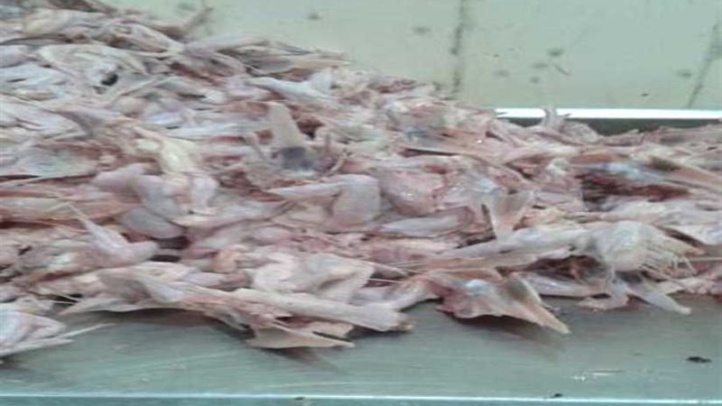 ضبط 1.5 طن مقطعات