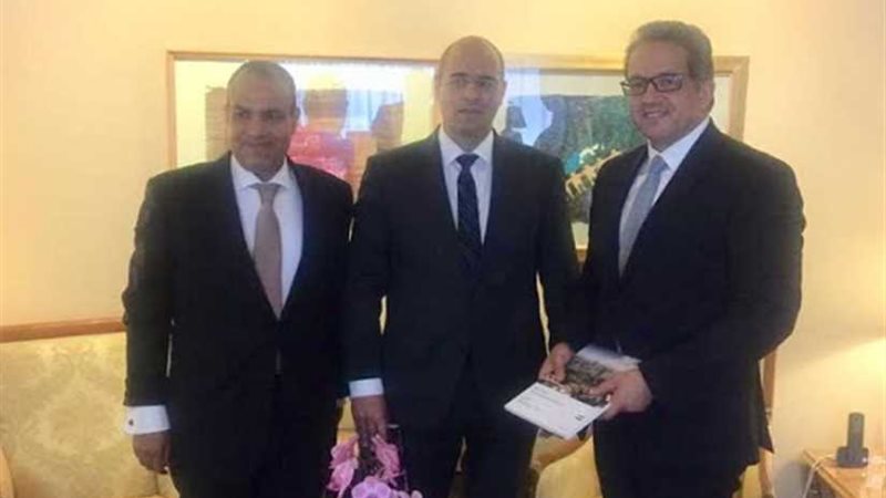 العناني يلتقي رئيس