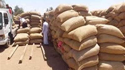 محافظ الجيزة : توريد 106 آلاف طن أقماح حتى الآن ومتابعة يومية لأعمال التوريد