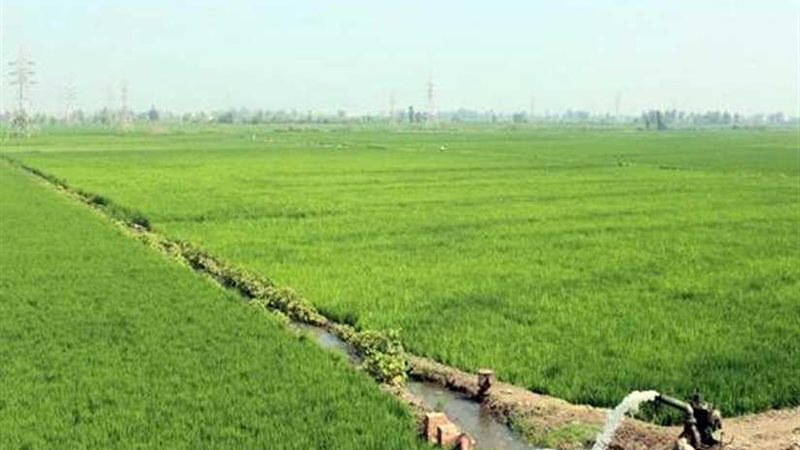 بدء تنفيذ مشروع زراعي