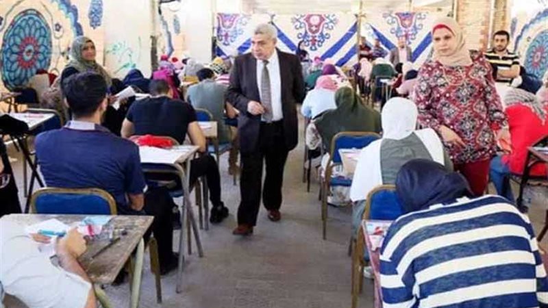 نائب رئيس جامعة طنطا