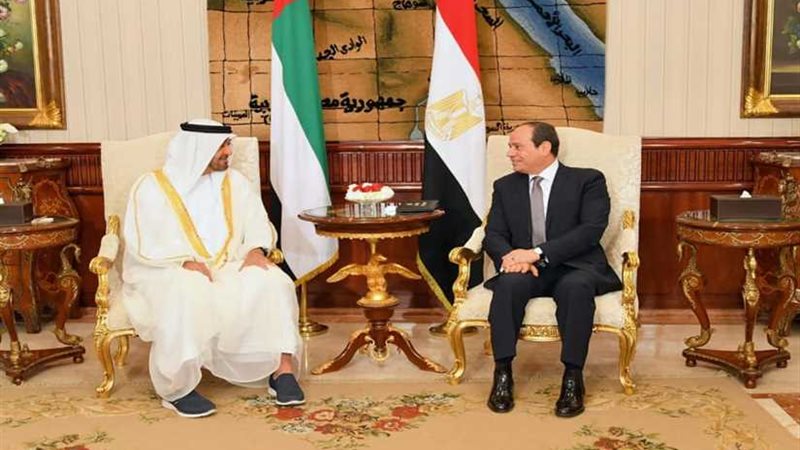 الرئيس السيسي: نتضامن