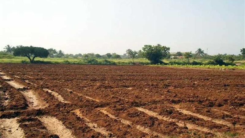 تسليم 500 فدان لإقامة