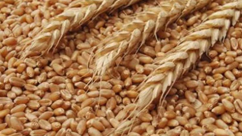 توريد 125 ألف طن