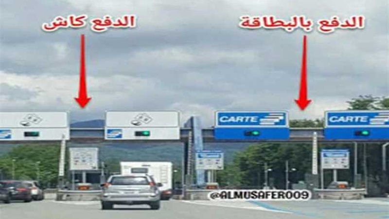 هكذا رد المصريون