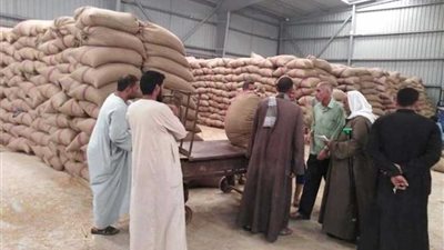 متابعة مستمرة لتوريد الأقماح بشون مركز منفلوط