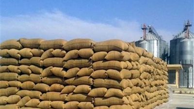 تواصل عمليات توريد الأقماح بمختلف محافظات الجمهورية