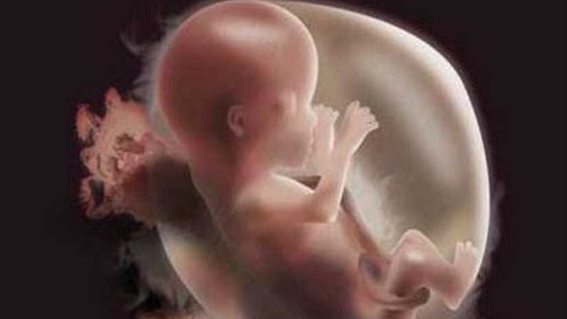 صور تكشف كيف يتغير