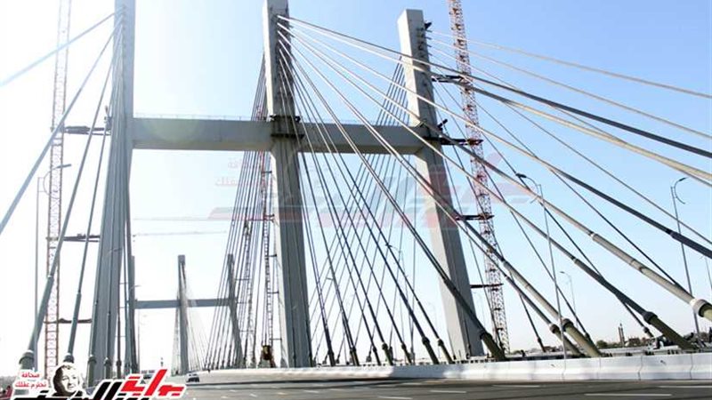 شاهد.. فرحة المصريين