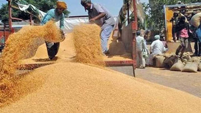 التموين تعلن توريد