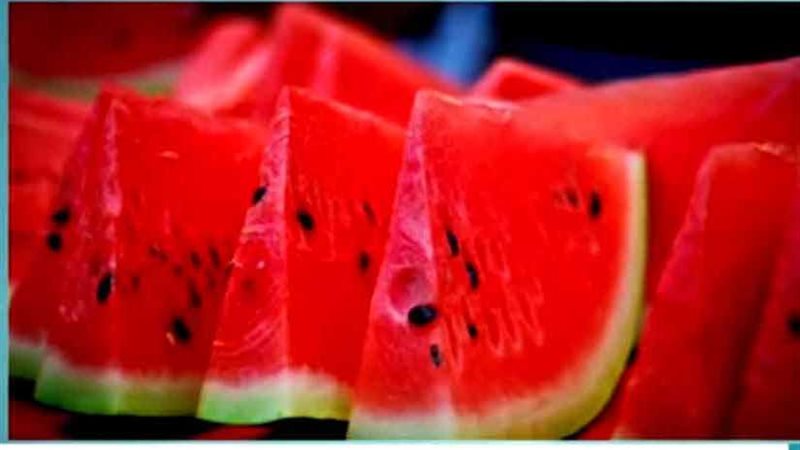 شاهد.. أهم الأطعمة