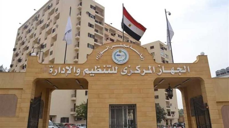 (التنظيم والإدارة)