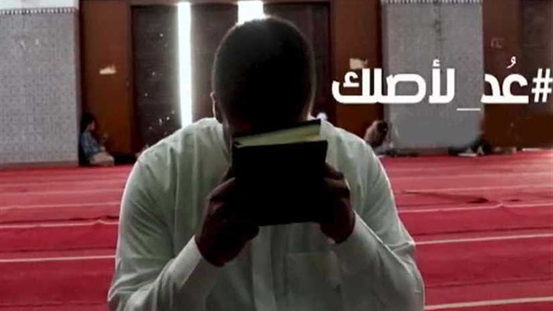 النظام سلوك حلقة