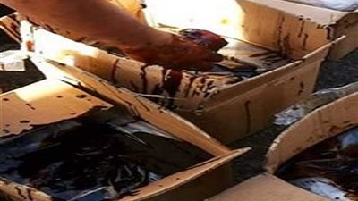 جمارك دمياط تحبط محاولة تهريب كمية من دخان المعسل