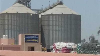 توريد 152 ألف طن قمح لصوامع وشون بني سويف