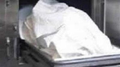 عامل يقتل آخر طعنا بالمفك في بدر