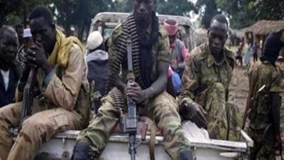 هجمات المتمردين في إفريقيا الوسطى تتسبب في انتشار 