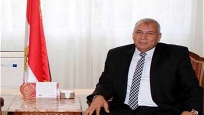 محافط الوادي الجديد: تخصيص 113 مليونًا لخدمات الاتصالات بالمحافظة