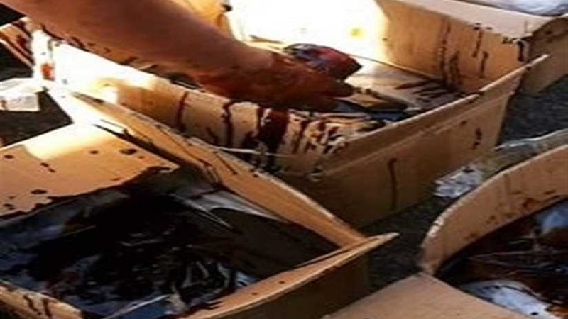 جمارك دمياط تحبط