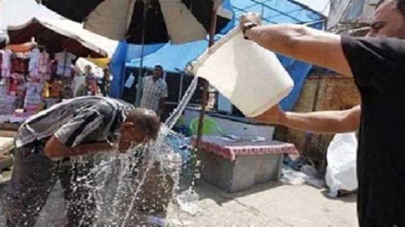 صحة الإسكندرية: فرق