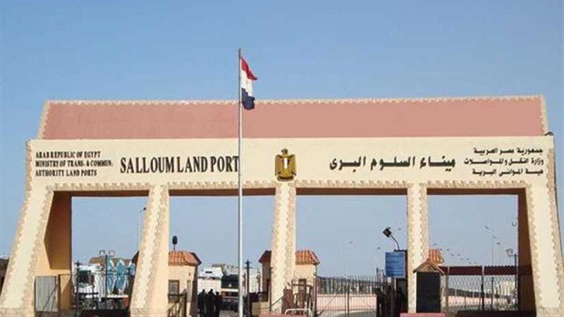 عودة 357 مصريًا من