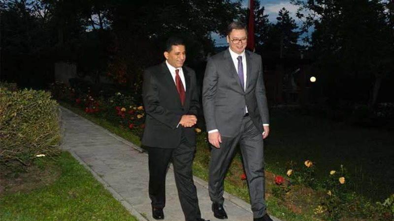 سفير مصر في بلجراد