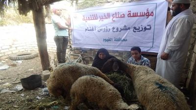 رؤوس أغنام على غير القادرين من 