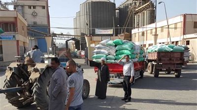 توريد 225 ألف طن قمح بشون وصوامع البحيرة