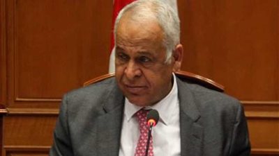 عامر: قرارات جامعة القاهرة لدعم البحث العلمي وتمويل النشر الدولي تفيد مشروعات التنمية