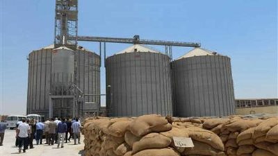 توريد 171 ألف طن قمح لصوامع وشون الدقهلية