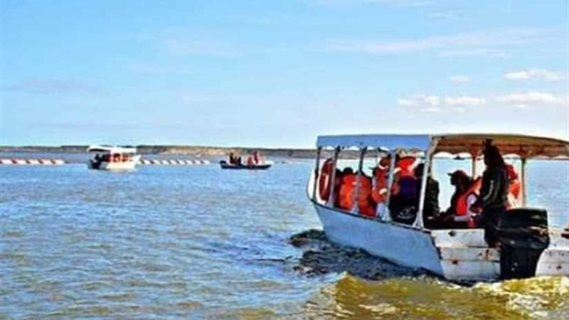 بحيرة المنزلة تستعيد