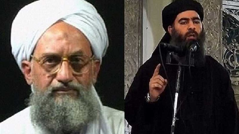 في أحراز خلية ما