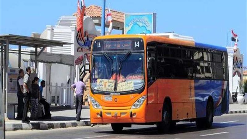 نقل الإسكندرية: رفع