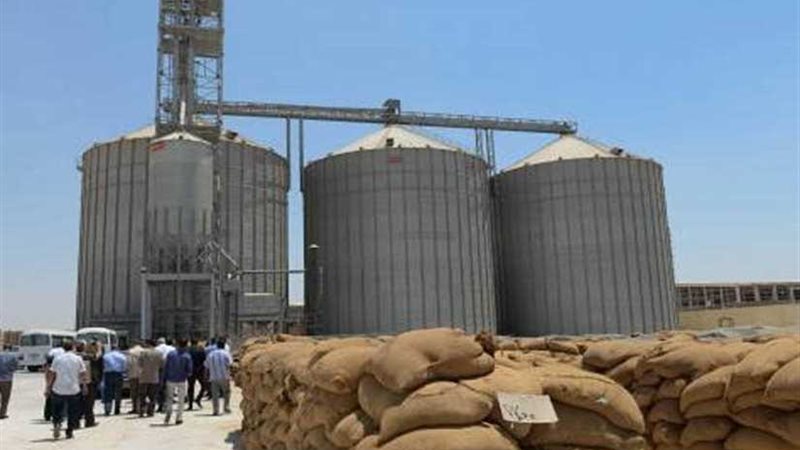 توريد 171 ألف طن