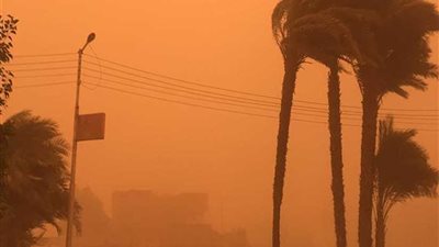 عاصفة ترابية بالبحر الأحمر.. وإدارة المرور تعزز من وجودها على الطرق