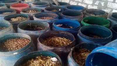 ضبط 4 أطنان مخلل غير صالح للاستهلاك الآدمي بالإسكندرية