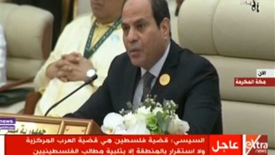السيسي: القضية الفلسطينية هي قضية العرب المركزية..فيديو‎