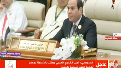 السيسي: يجب تفعيل آليات التعاون العربي في مجال مكافحة الإرهاب