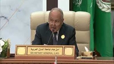 أبو الغيط: أمن الخليج من أمن العرب جميعًا