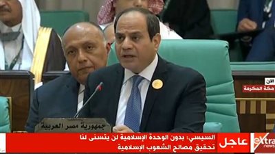 الرئيس السيسي: مصر لن تدخر جهدًا في دعم منظمة التعاون الإسلامي‎