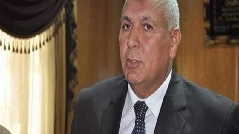 محافظ الوادي الجديد: