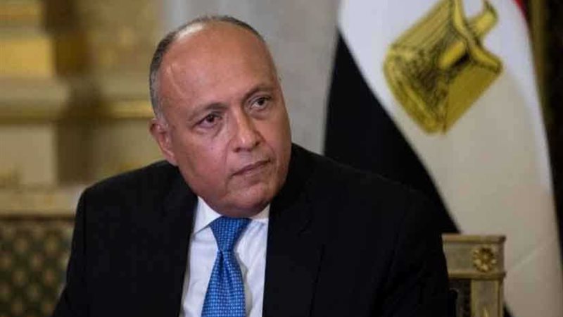 شكري يؤكد تقدير مصر