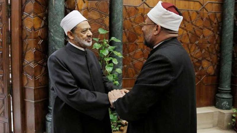 الإمام الأكبر يثني