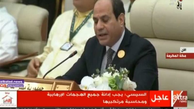 الرئيس السيسي: العرب