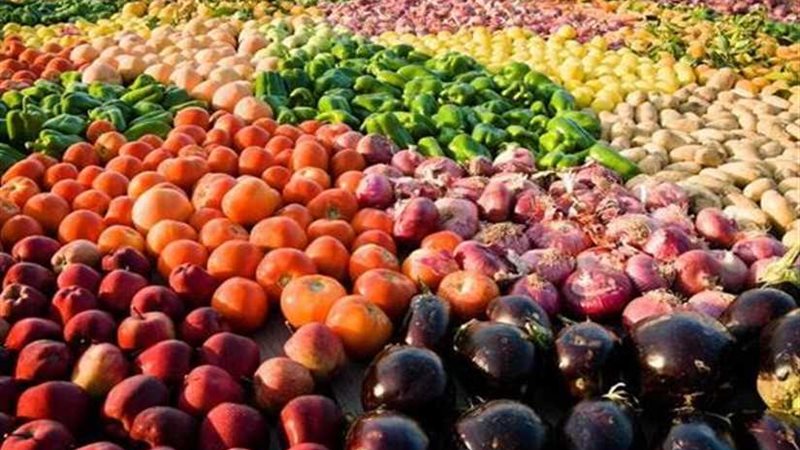 الزراعة: ارتفاع صادرات