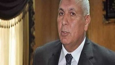 محافظ الوادى الجديد : قوات الشرطة تنشر الأمن والأمان